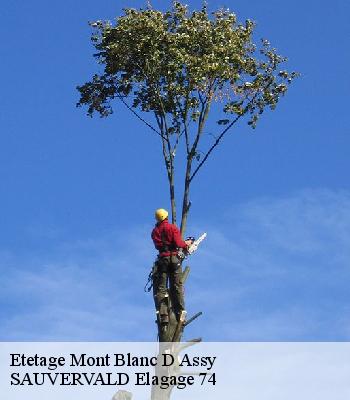 Etetage
