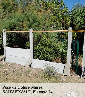 Pose de cloture