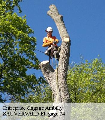 Entreprise élagage