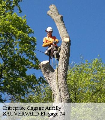 Entreprise élagage