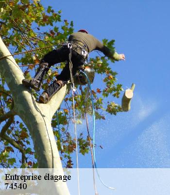 Entreprise élagage