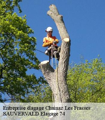 Entreprise élagage