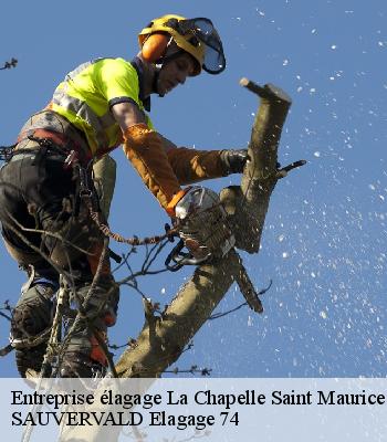Entreprise élagage