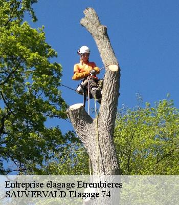 Entreprise élagage