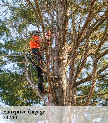 Entreprise élagage