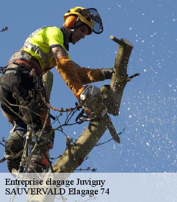 Entreprise élagage