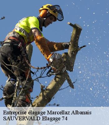 Entreprise élagage
