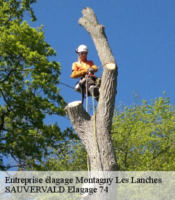 Entreprise élagage