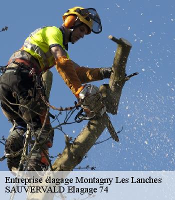 Entreprise élagage