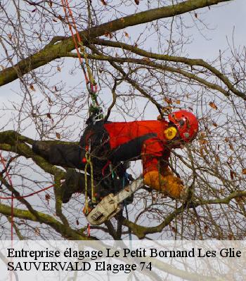 Entreprise élagage