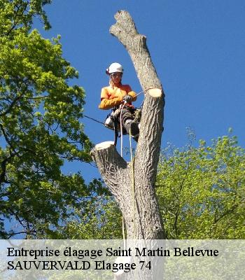 Entreprise élagage