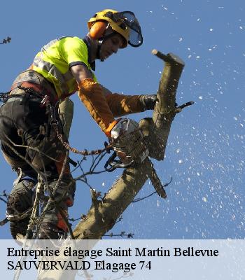 Entreprise élagage