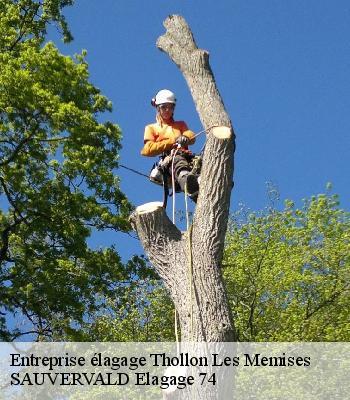 Entreprise élagage