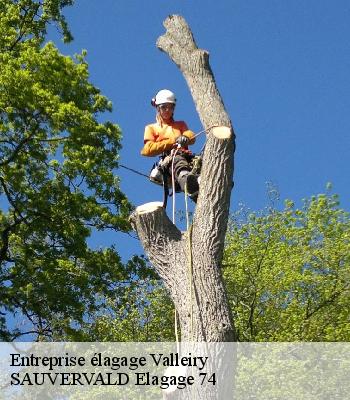 Entreprise élagage