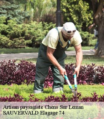 Artisan paysagiste