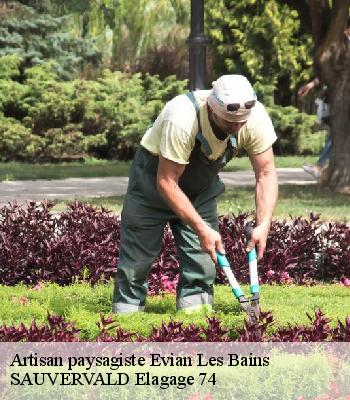 Artisan paysagiste