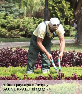 Artisan paysagiste