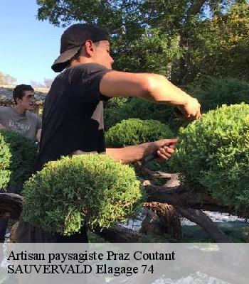 Artisan paysagiste