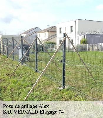Pose de grillage
