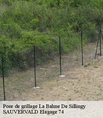 Pose de grillage