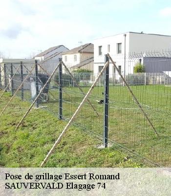 Pose de grillage
