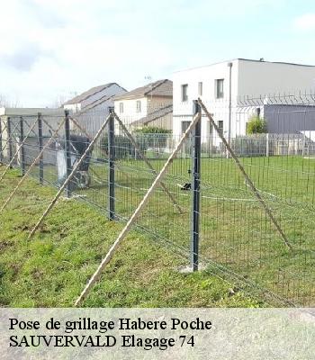 Pose de grillage