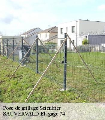 Pose de grillage