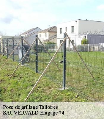 Pose de grillage