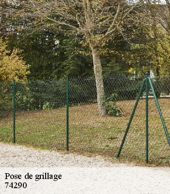 Pose de grillage