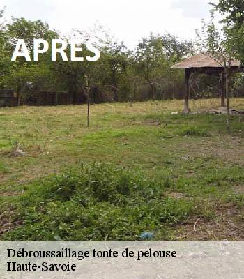 Débroussaillage tonte de pelouse