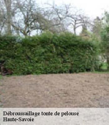 Débroussaillage tonte de pelouse
