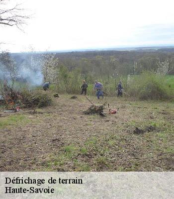 Défrichage de terrain