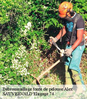 Débroussaillage tonte de pelouse