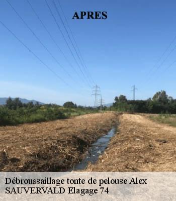 Débroussaillage tonte de pelouse