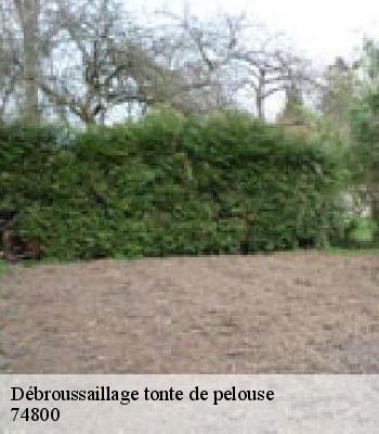 Débroussaillage tonte de pelouse