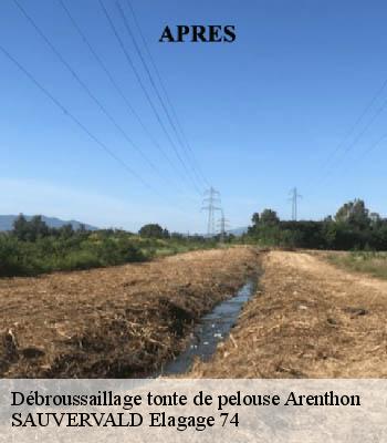 Débroussaillage tonte de pelouse