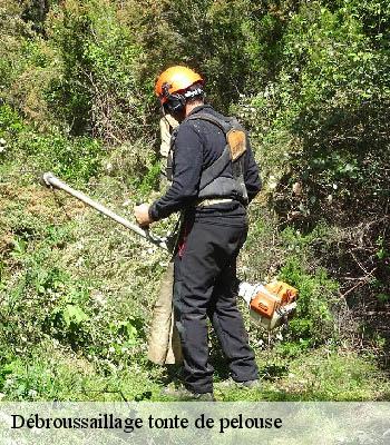 Débroussaillage tonte de pelouse