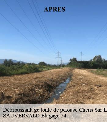 Débroussaillage tonte de pelouse