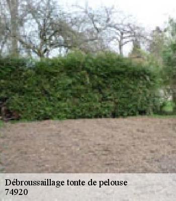 Débroussaillage tonte de pelouse