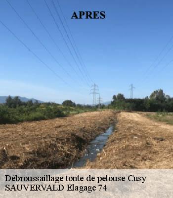 Débroussaillage tonte de pelouse