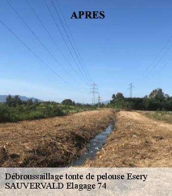 Débroussaillage tonte de pelouse