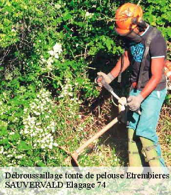 Débroussaillage tonte de pelouse