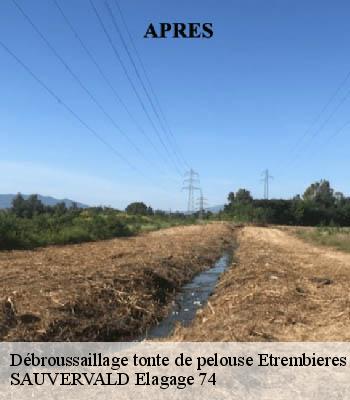 Débroussaillage tonte de pelouse