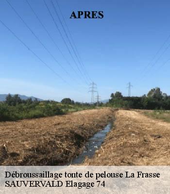 Débroussaillage tonte de pelouse