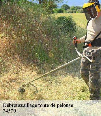 Débroussaillage tonte de pelouse