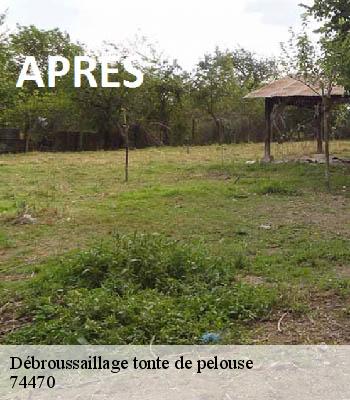 Débroussaillage tonte de pelouse