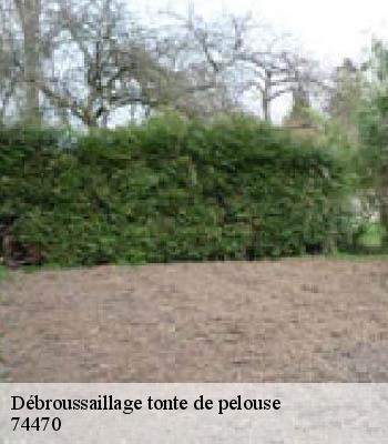Débroussaillage tonte de pelouse
