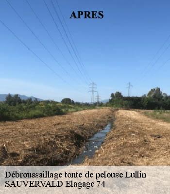 Débroussaillage tonte de pelouse