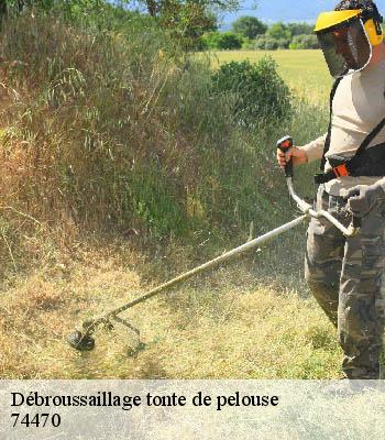 Débroussaillage tonte de pelouse