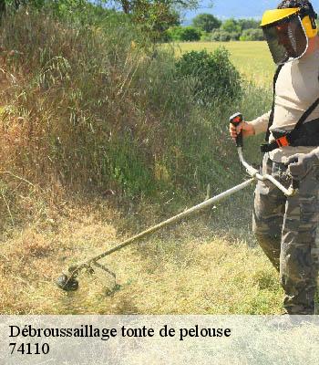Débroussaillage tonte de pelouse